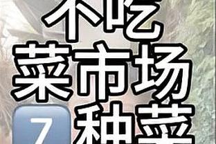 葡萄牙vs冰岛首发：C罗、B费、B席先发，菲利克斯出战